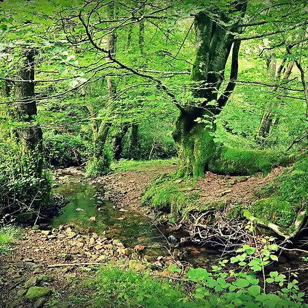 Troi Landetxea, Con Encanto En El Goierri, Gipuzkoa, Pais Vasco * Mutiloa