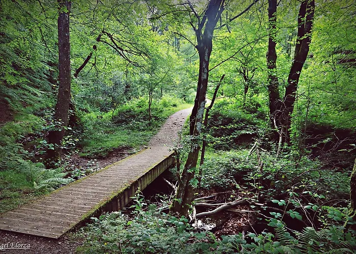 Troi Landetxea, Con Encanto En El Goierri, Gipuzkoa, Pais Vasco منزل ريفي