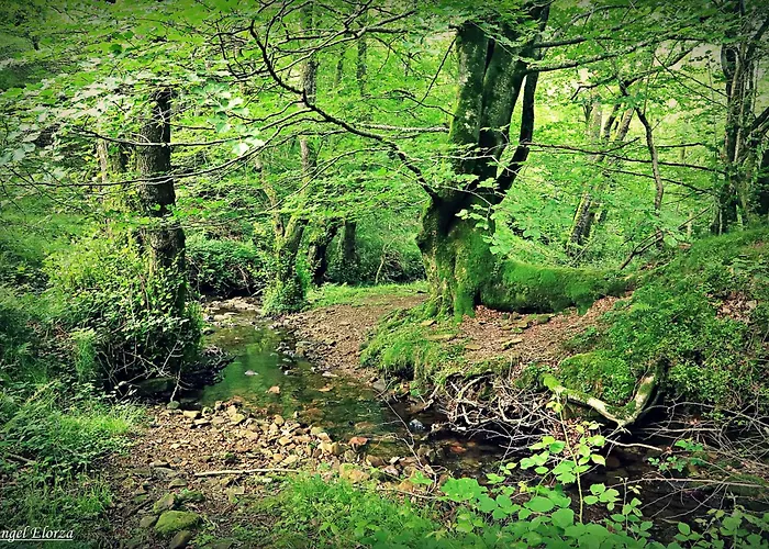 Troi Landetxea, Con Encanto En El Goierri, Gipuzkoa, Pais Vasco * Mutiloa